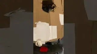 💀💀💀