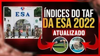 🏃🏽Os &Iacute;NDICES do TAF (TESTE F&Iacute;SICO) da ESA 2022. (Guia ATUALIZADO)