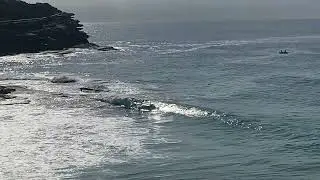 Tamarama Surf Check Tuesday 10th September 2024 8:45am