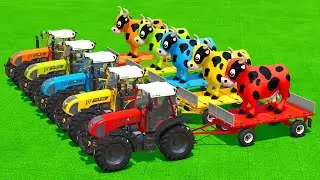 LOAD GIANT COWS & TRANSPORT WITH RIGI TRAC TRACTORS & FORKLIFTS - Farming Simulator 25