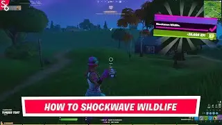 How to complete the Shockwave Wildlife Quest | Fortnite Battle Royale