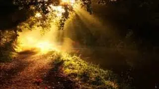A.R.D.I. - In Another World (Original Mix) ASOT 631