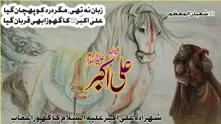 10شعبان/ علی اکبر علیہ السلام کے گھوڑے کی شان/ وفا کا پیکر  
