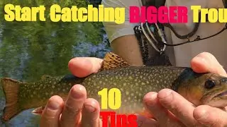 The Secret World of Driftless Trout Fishing in 2026