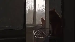 #актив #жизнь #shortvideo #цитаты #subscribe #highlights #топ