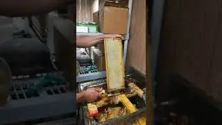 Uncapping Jamie's honey!! 🍯🍯🍯