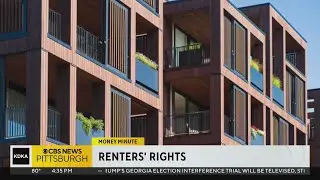Know your rights as a tenant