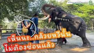 ตามติดชีวิต #พลายศักดิ์สุรินทร์ 12 พฤศจิกายน 2567 หมอโบนัสมาพบปะ FC ทั้งสิ้น 20 นาที!!!