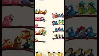 Bird Sort Color Puzzle | Brain Training Sorting Game #BirdSortColor #PuzzleGame #MobileGame #short