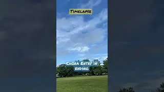 Timelapse {August 13, 2022} #shorts #timelapse #cricket