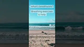 Breathwork basics.   #shorts #breathwork #breathing #inhaleexhale