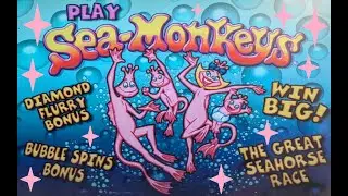 Bubbles of fun on SEA MONKEYS slot at NYNY in Las Vegas