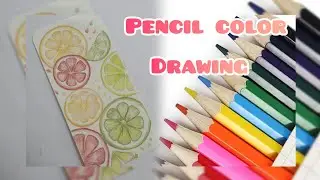 Easy Pencil Color Drawing Tutorial | Fruit slice art drawing
