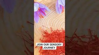 Luxury Morocco Saffron Tour | Marrakech-Taliouine | Ultimate Sensory Journey #morocco #travel