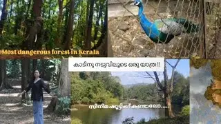 അച്ചൻകോവിൽ കാനന പാത!! Most Dangerous Forest In Kerala😮⚠️#forest #video #youtube 