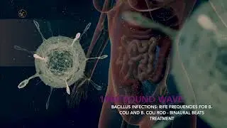 BACILLUS INFECTIONS: RIFE FREQUENCIES FOR B  COLI AND B  COLI ROD   BINAURAL BEATS TREATMENT