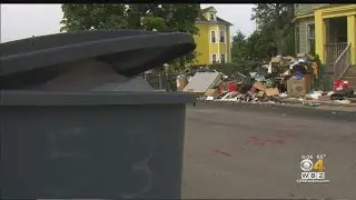 Coronavirus Pandemic Brings Out Rats In Boston