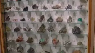 Staten Island Museum