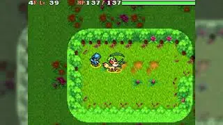 Treeshroud forest p1 | PMD EoS 115