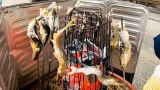 Sweetfish fishing and the best way eat it