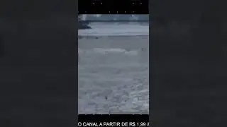 O MAR RECUOU EM S&Atilde;O PAULO! SAIBA O MOTIVO! #SHORTS