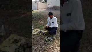 Kasturba School vaghnagar teacher meeting