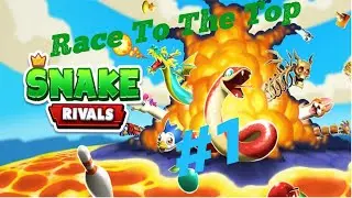 Snake Rivals - Race to the Top