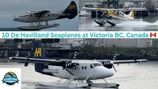 Harbour Air & Kenmore Air: Masters of the Splash and Dash!