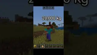 how much steve can carry Weight? #minecraft