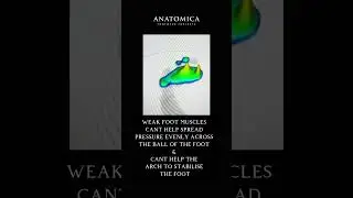Do you have WEAK or STRONG feet? How can you tell ?