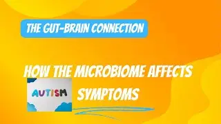 The Surprising Way Your Gut Talks to Your Brain! by Whole Health Alternatives