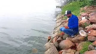 Telangana Fishing catching Rahu Fish Unique Fishing village fishing video