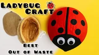 Ladybug Craft with Walnut Shell 🐞 | Best Out of Waste DIY | Walnut shell craft @salonicreativeart08