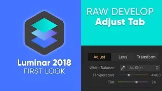 Luminar 18 RAW Develop &ndash; Adjust Tab