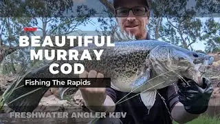 Lure Fishing for Murray Cod - Water Rapids