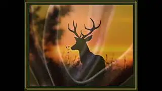 Turnpike Troubadours - The Price of Admission (Album Trailer)