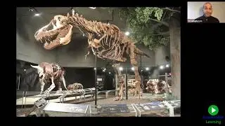 Fossil Friday: Being a Paleontologist! (Grade: 6 &ndash; 8)