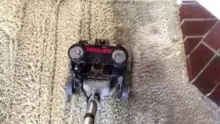 San Ramon carpet cleaning specials call for free quote  925-838-9050