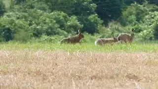 19.05.'24: Familie Haas op uitstap ... voor onze tuin  :)