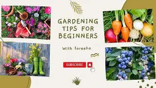 Gardening for Beginners/Simple Gardening Plan / Easiest Plan for  Gardening /Land Of Ideas