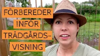 Förbereder inför trädgårdsvisning - rensning och reflektioner om att visa upp sin trädgård.
