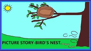 PICTURE STORY -BIRD'S NEST