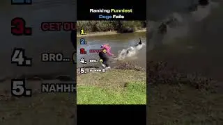 👉 WAIT FOR NUMBER 1 😭 l Ranking Funniest Dogs Fails💀 #funny #shorts #dog #trending #viral
