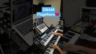 SWAM Instruments Flugehorn @audiomodeling #swam #vstplugins