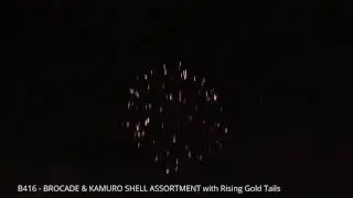 B416 - BROCADE & KAMURO SHELL ASSORTMENT with Rising Gold Tails