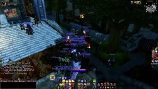 Paladin Leveling | Road to 70 | Chill Stream | TBC Anniversary