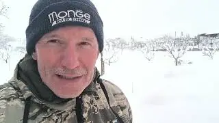 #387 Зима на Кубани/ январь в с Молдаванское.