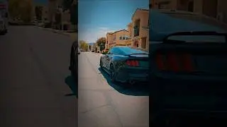 Low Profile Mustang: A Quiet Revolution