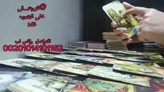 معجب بيك بتكسب الرهان فى اى مقارنه بيتأكد من ذكائك بعد ما اتعاملت بدماغك معاه