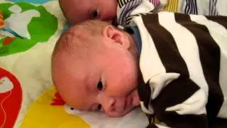 Twin Source: Tummy Time with a helpful Pug